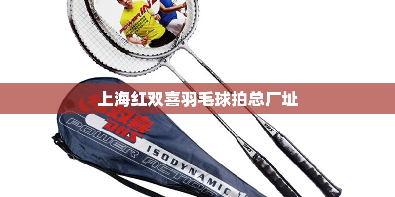 上海红双喜羽毛球拍总厂址 上海红双喜羽毛球拍总厂址