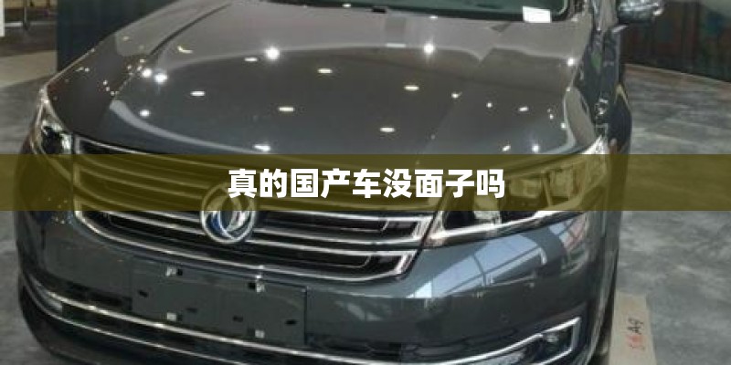 真的国产车没面子吗 真的国产车没面子吗