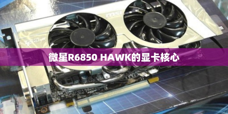 微星R6850 HAWK的显卡核心 微星R6850 HAWK的显卡核心