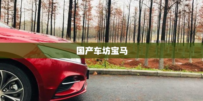 国产车坊宝马 国产车坊宝马