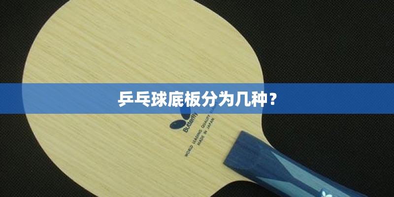 乒乓球底板分为几种? 乒乓球底板分为几种?