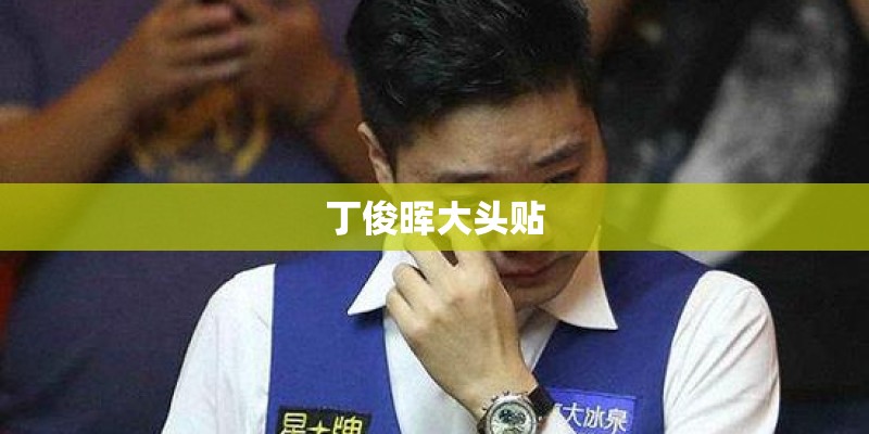 丁俊晖大头贴 丁俊晖大头贴