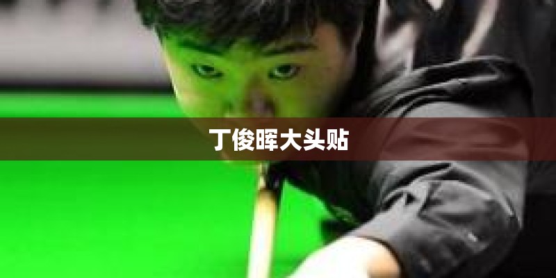 丁俊晖大头贴 丁俊晖大头贴