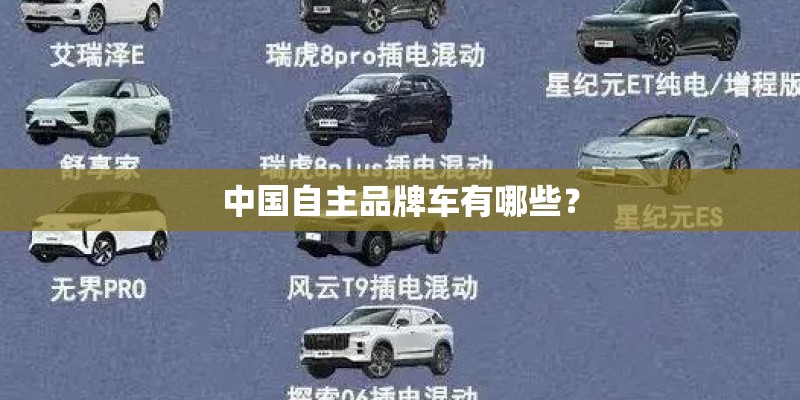 中国自主品牌车有哪些？