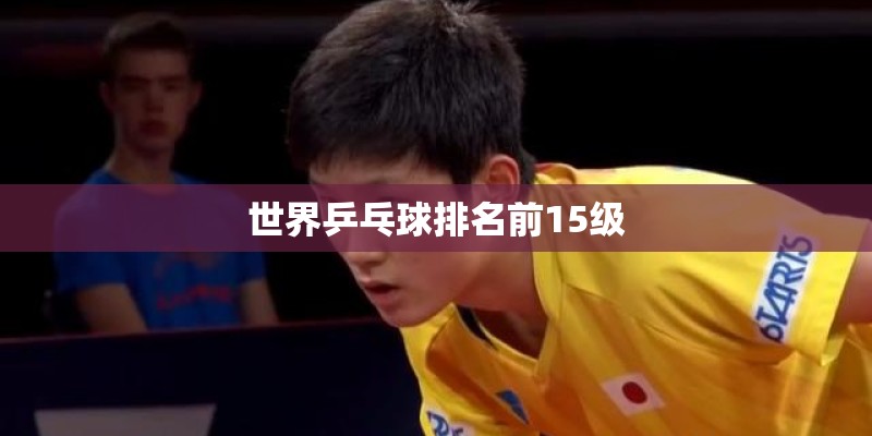 世界乒乓球排名前15级 世界乒乓球排名前15级