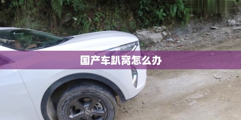 国产车趴窝怎么办