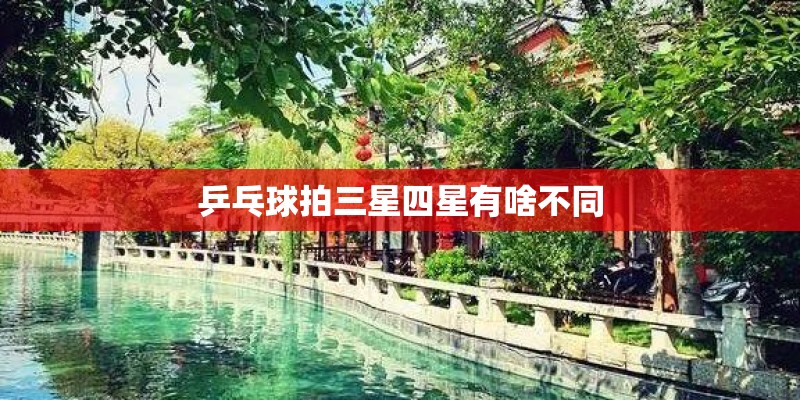 乒乓球拍三星四星有啥不同 乒乓球拍三星四星有啥不同