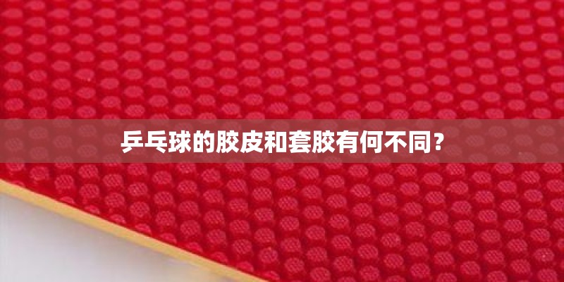 乒乓球的胶皮和套胶有何不同？