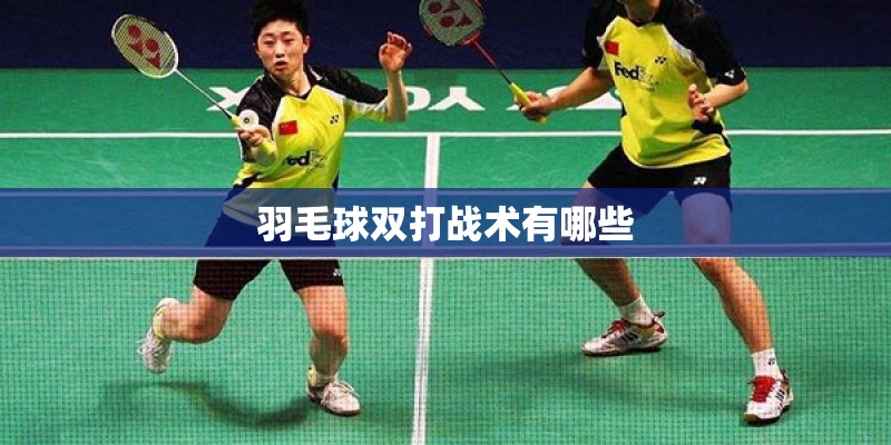 羽毛球双打战术有哪些 羽毛球双打战术有哪些
