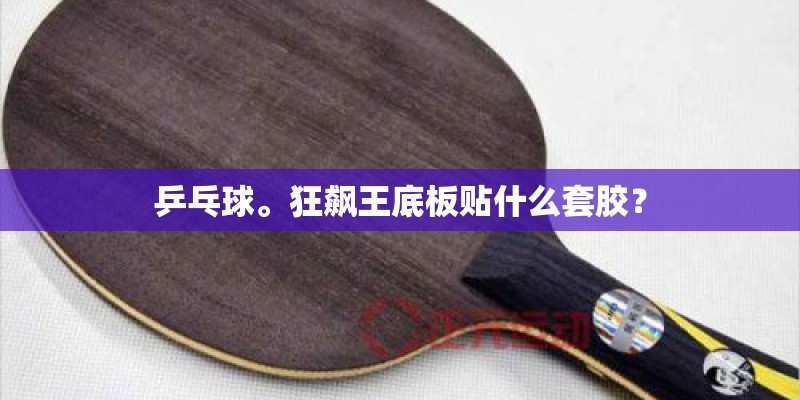 乒乓球。狂飙王底板贴什么套胶？