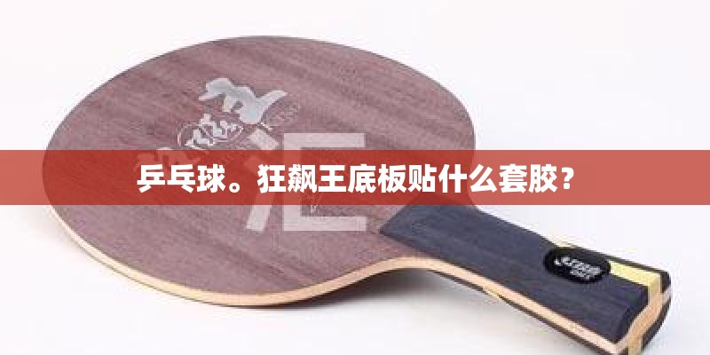 乒乓球。狂飙王底板贴什么套胶？