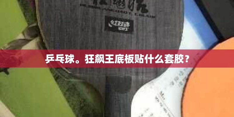 乒乓球。狂飙王底板贴什么套胶？