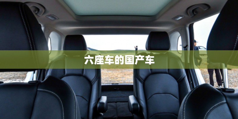 六座车的国产车