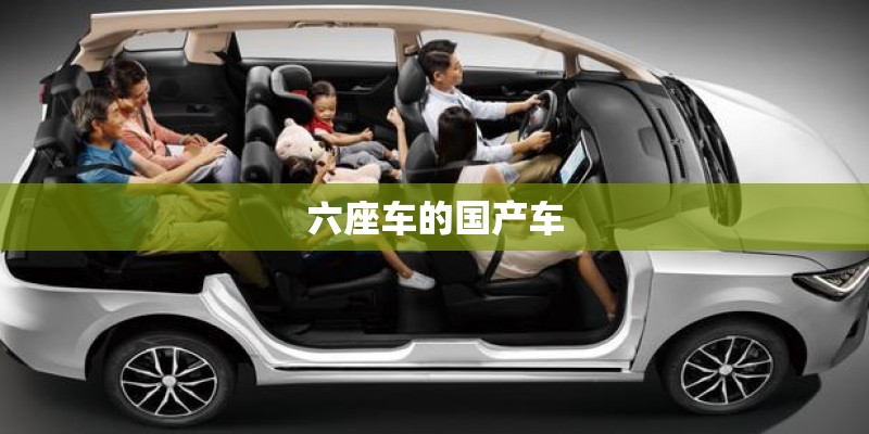六座车的国产车