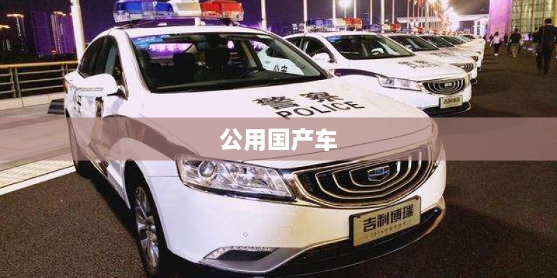 公用国产车