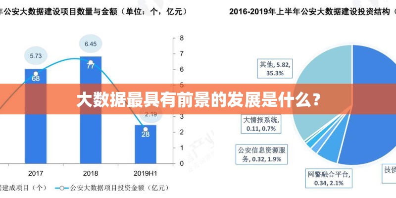大数据最具有前景的发展是什么？