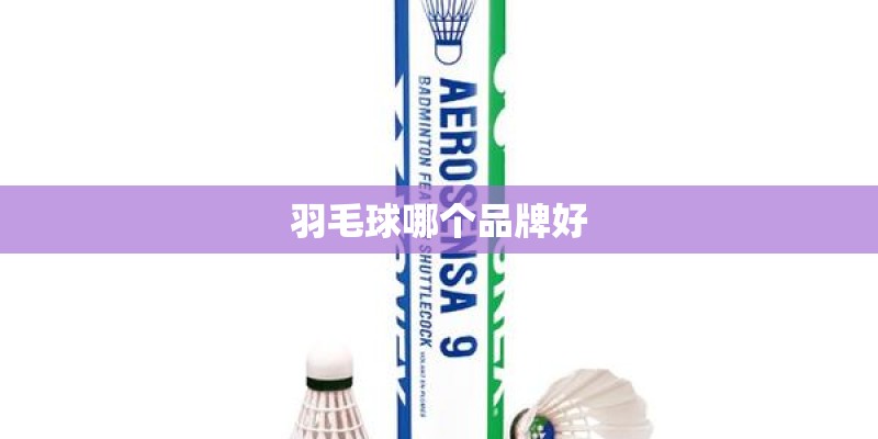 羽毛球哪个品牌好