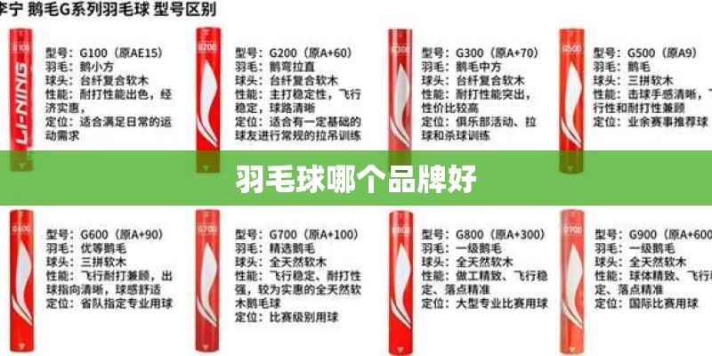 羽毛球哪个品牌好