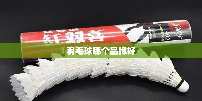 羽毛球哪个品牌好