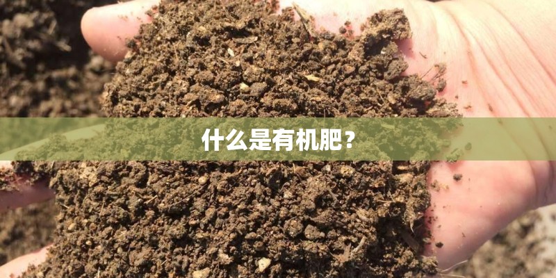 什么是有机肥？