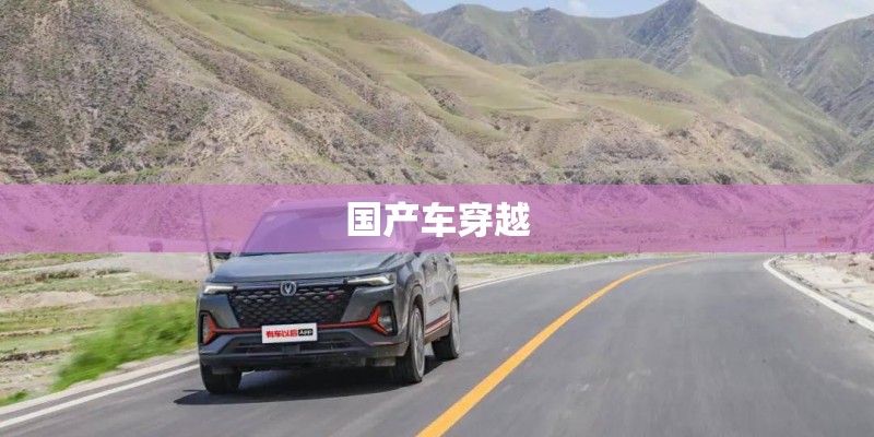 国产车穿越
