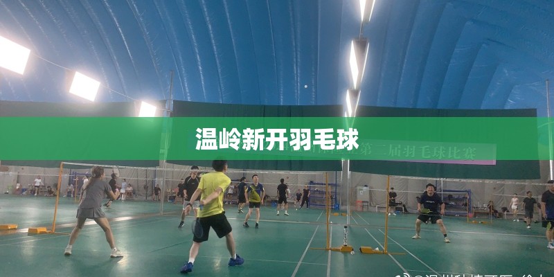 温岭新开羽毛球