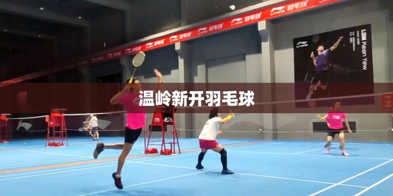 温岭新开羽毛球