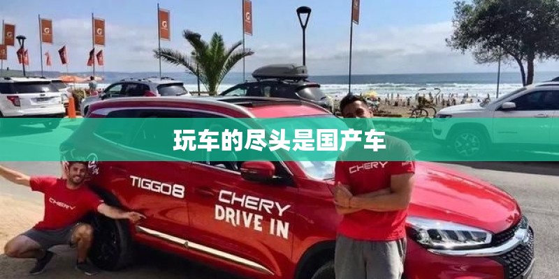 玩车的尽头是国产车 玩车的尽头是国产车