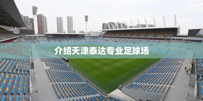 介绍天津泰达专业足球场 介绍天津泰达专业足球场