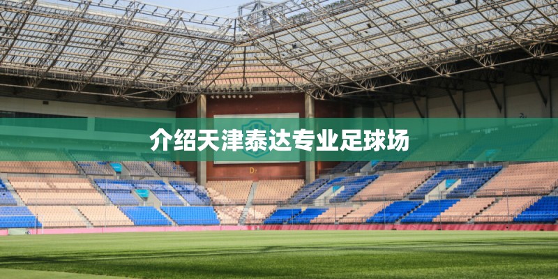 介绍天津泰达专业足球场 介绍天津泰达专业足球场