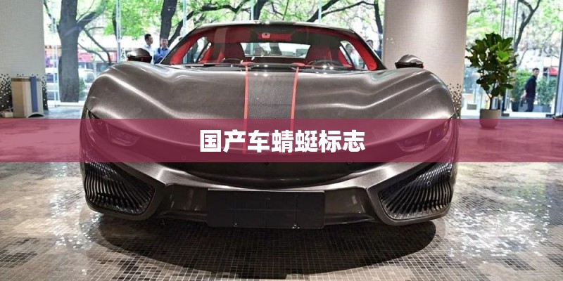 国产车蜻蜓标志 国产车蜻蜓标志
