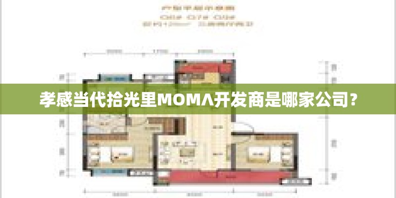 孝感当代拾光里MOMΛ开发商是哪家公司? 孝感当代拾光里MOMΛ开发商是哪家公司?