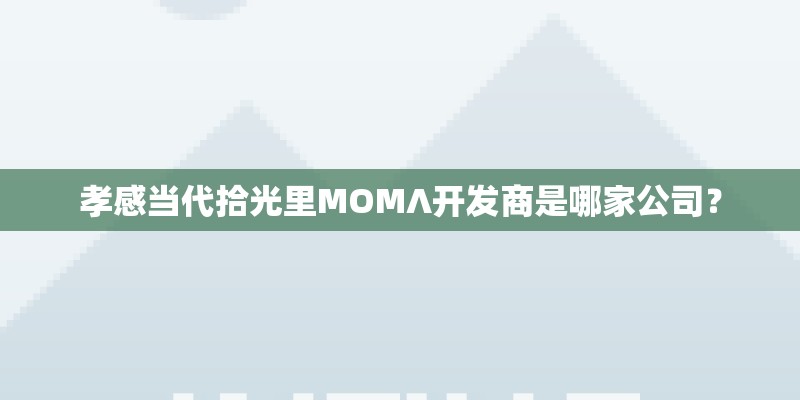 孝感当代拾光里MOMΛ开发商是哪家公司? 孝感当代拾光里MOMΛ开发商是哪家公司?