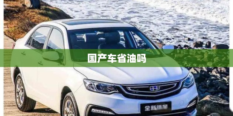 国产车省油吗 国产车省油吗