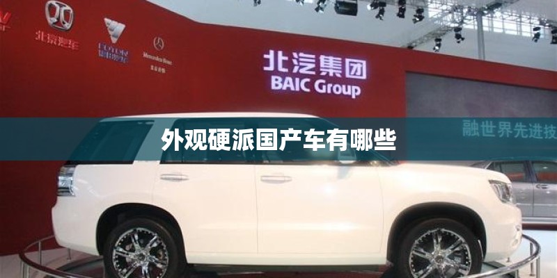 外观硬派国产车有哪些 外观硬派国产车有哪些