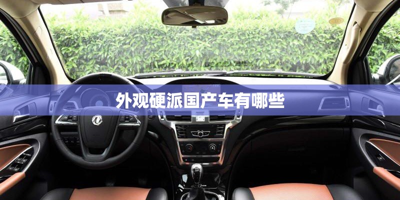 外观硬派国产车有哪些 外观硬派国产车有哪些