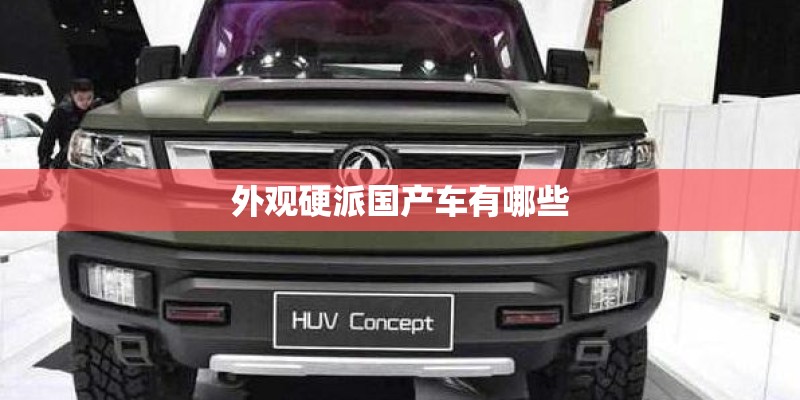 外观硬派国产车有哪些 外观硬派国产车有哪些
