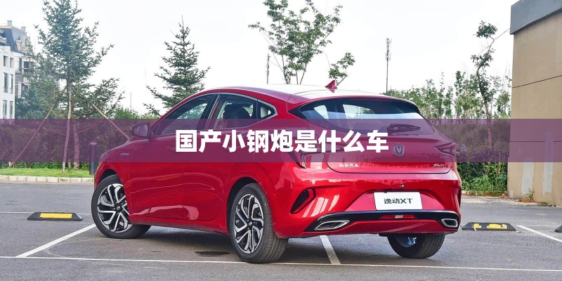 国产小钢炮是什么车 国产小钢炮是什么车
