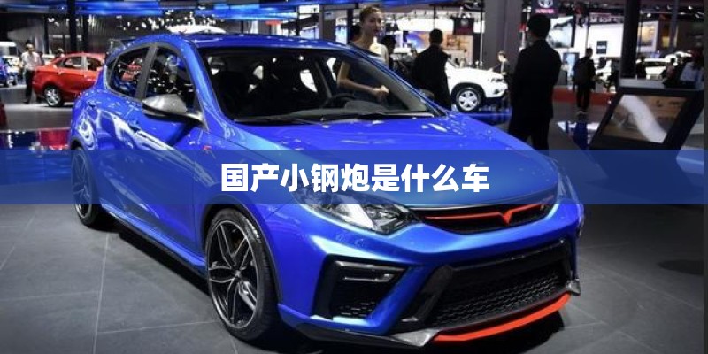 国产小钢炮是什么车 国产小钢炮是什么车