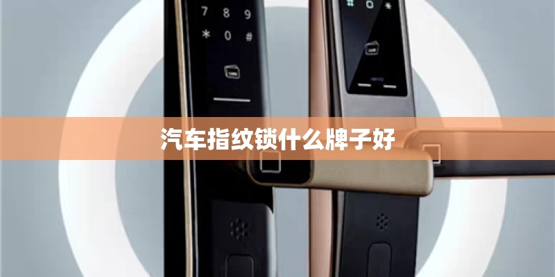 汽车指纹锁什么牌子好 汽车指纹锁什么牌子好