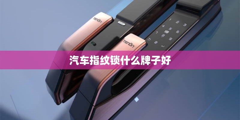 汽车指纹锁什么牌子好 汽车指纹锁什么牌子好