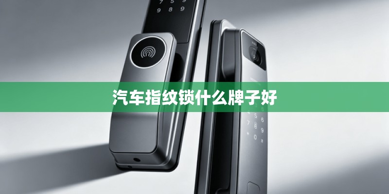 汽车指纹锁什么牌子好 汽车指纹锁什么牌子好