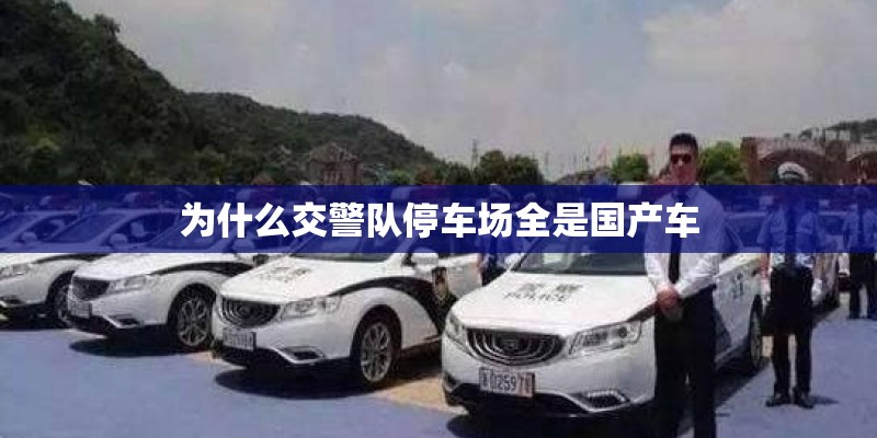 为什么交警队停车场全是国产车