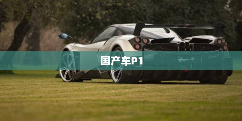 国产车P1
