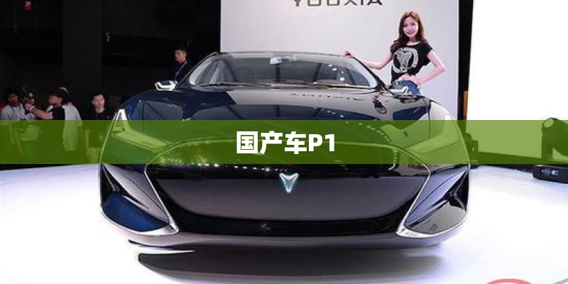 国产车P1