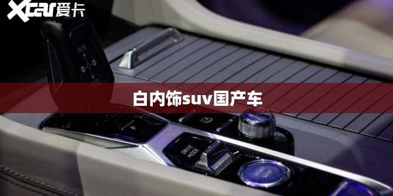 白内饰suv国产车 白内饰suv国产车