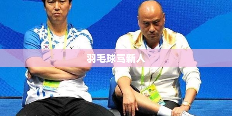 羽毛球骂新人