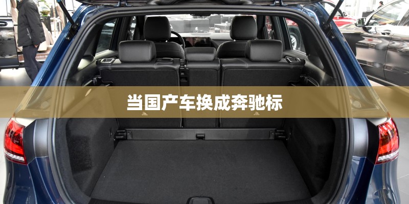 当国产车换成奔驰标