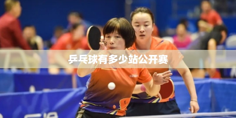 乒乓球有多少站公开赛 乒乓球有多少站公开赛