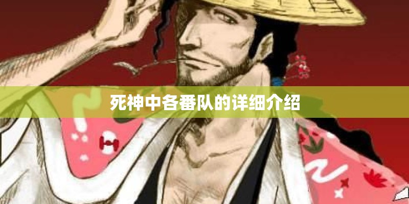 死神中各番队的详细介绍 死神中各番队的详细介绍